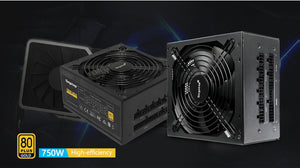 Segotep 750W Power Supply 80 Plus Gold Certified PSU Fully Modular