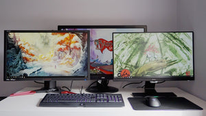 22" Monitor